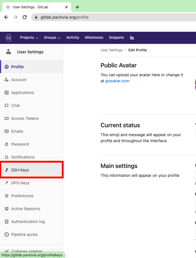 SSH key on gitlab setting.